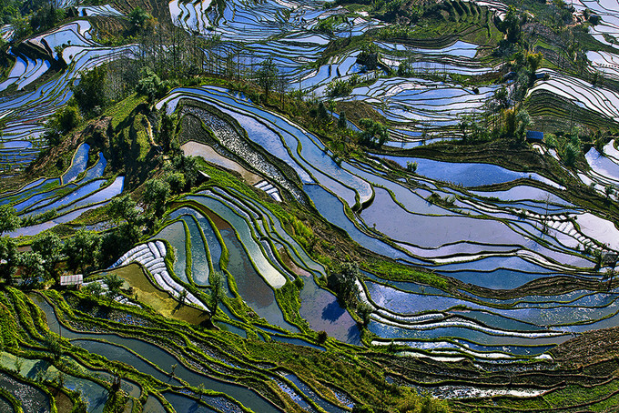 云南元陽梯田的最佳攝影旅游時間