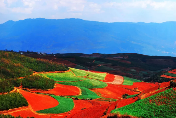 云南東川紅土地的最佳旅游時間是什么時候？