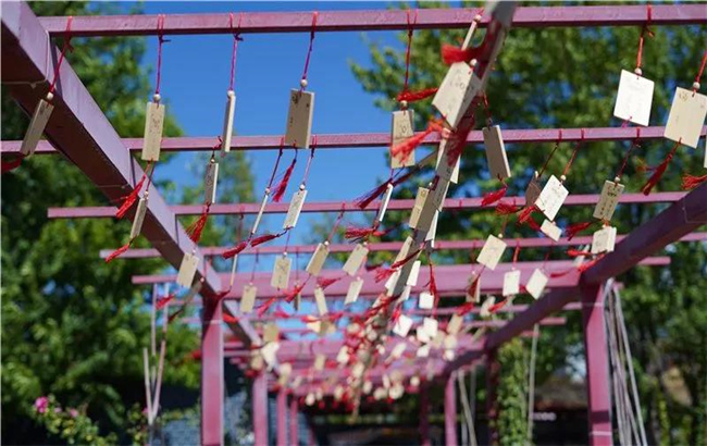 賞花親水、荷塘野趣……楚雄東華濕地公園許你一個(gè)繽紛夏日