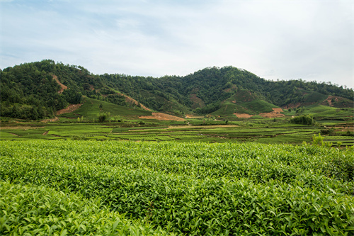 云南研學旅行地點推薦--昆明親子研學旅行  啟發孩子思想  啟迪孩子思維